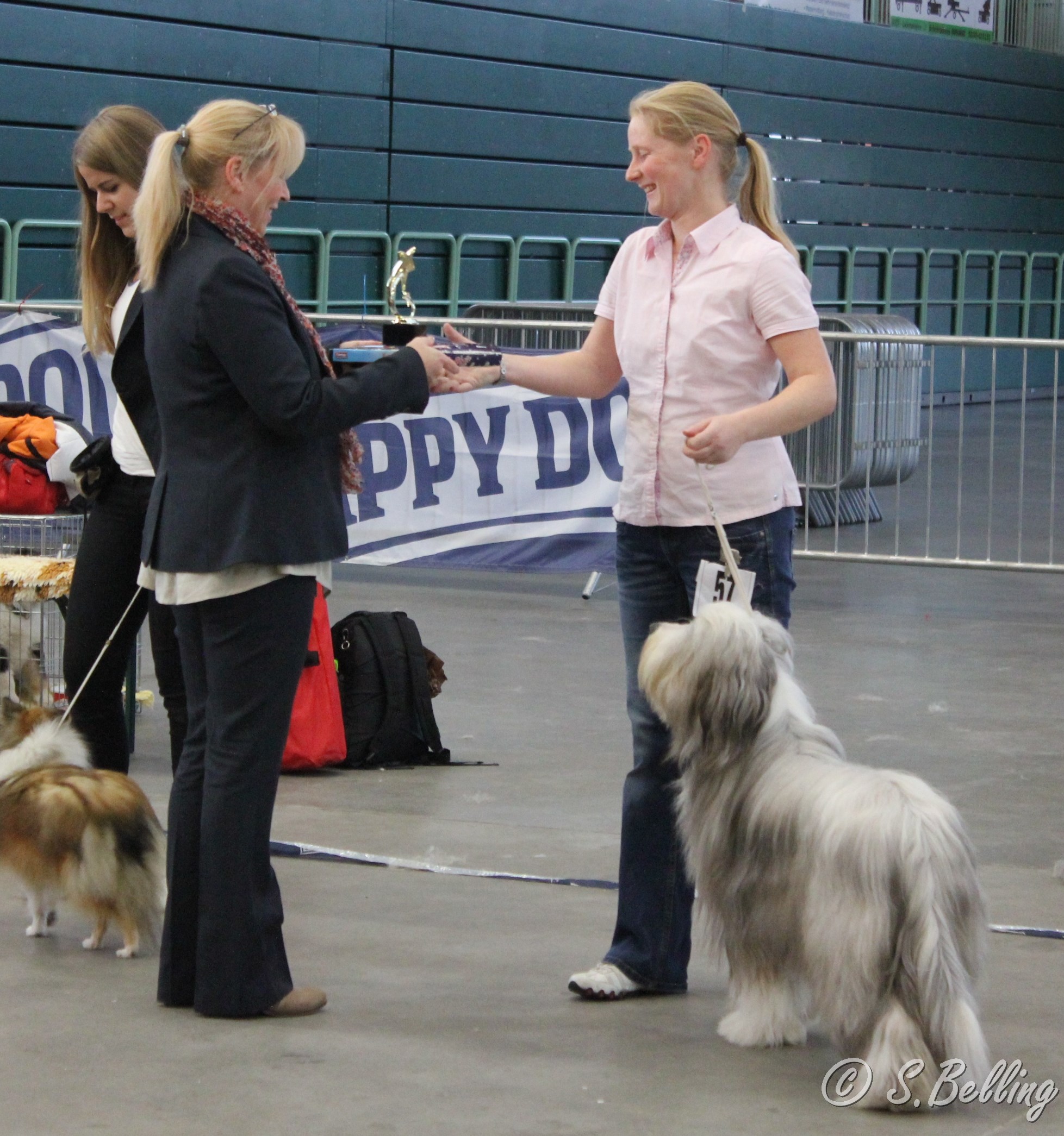 Best Jugend  Bearded Collie "Celtsdale Larger Than Life"