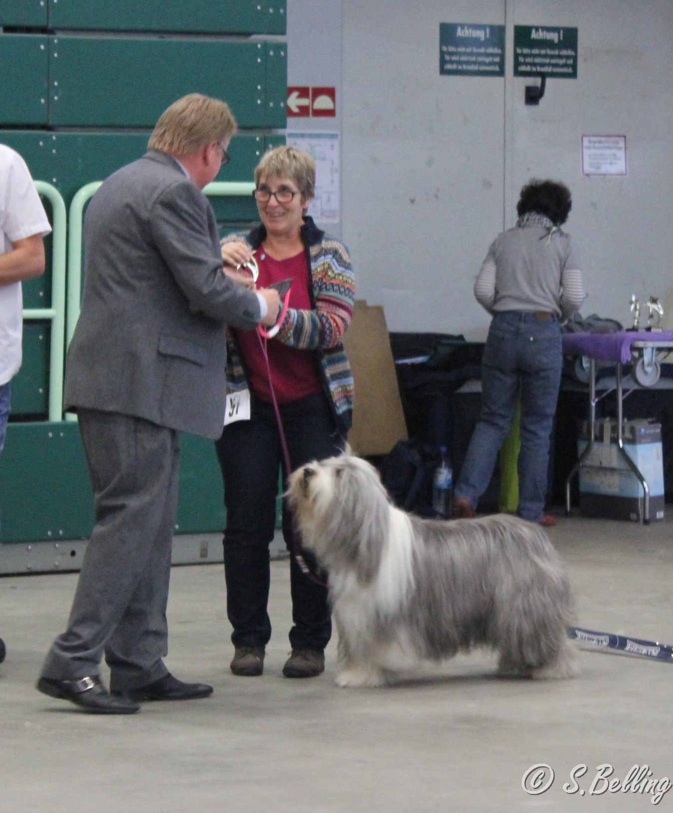 Best Veteran -Bearded Collie