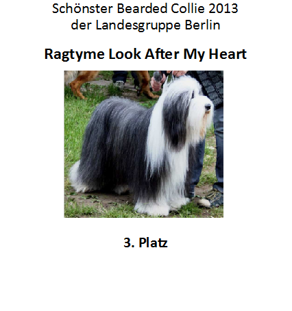 BEA 3. Platz