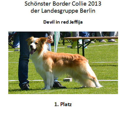 BOC 1. Platz