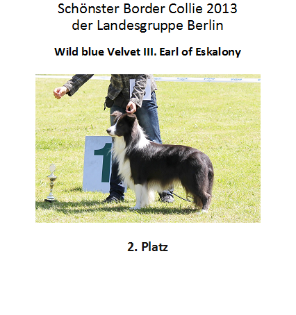 BOC 2. Platz