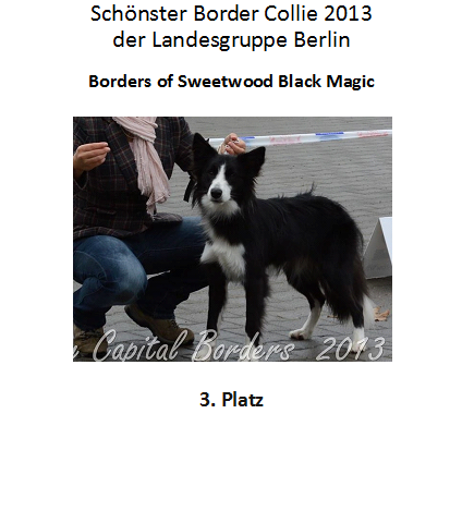 BOC 3. Platz