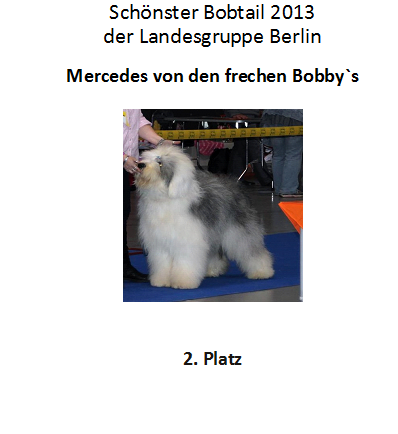 Bobby 2. Platz