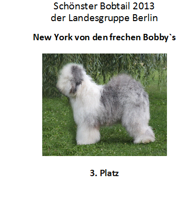 Bobby 3. Platz