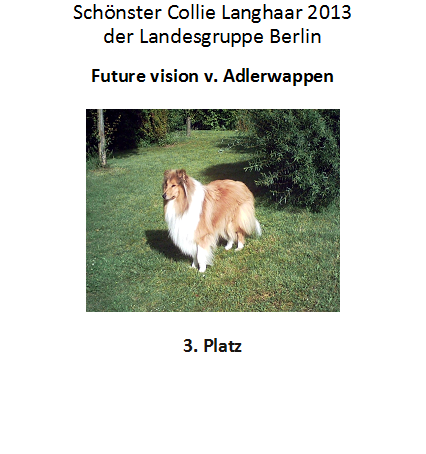 Collie 3. Platz