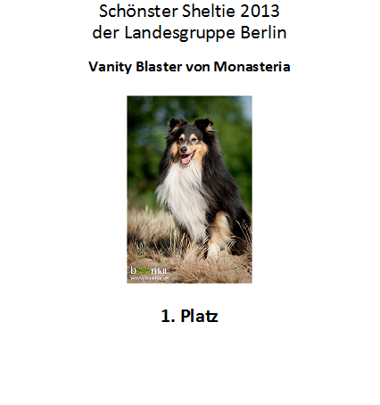 Sheltie 1. Platz