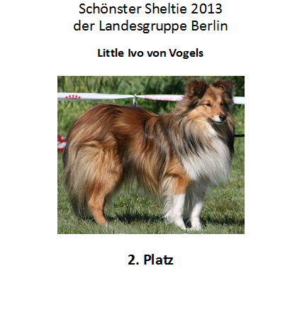 Sheltie 2. Platz